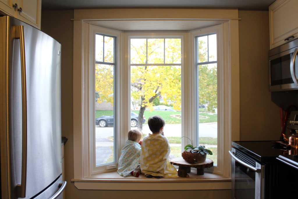 Buy Wise Windows & Doors | 11 Mountainview Road N., Georgetown, Ontario L7G 4T3 | Phone: 905.873.0236